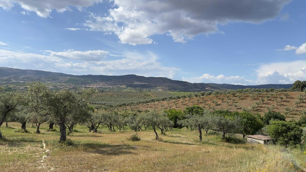Terreno Rústico 4.392 m² – Eiras do Lagar, Vilarelhos (Alfândega da Fé)