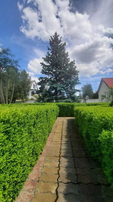 Осокорки. Дом с большим бассейном. Барбекю. От собственника