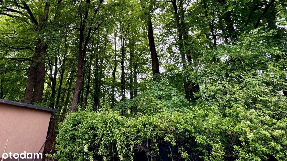 Dom Wolnostojący, ul. Stolarska, linia przy Parku