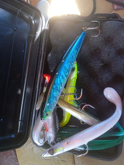 Cana de pesca ao spinning