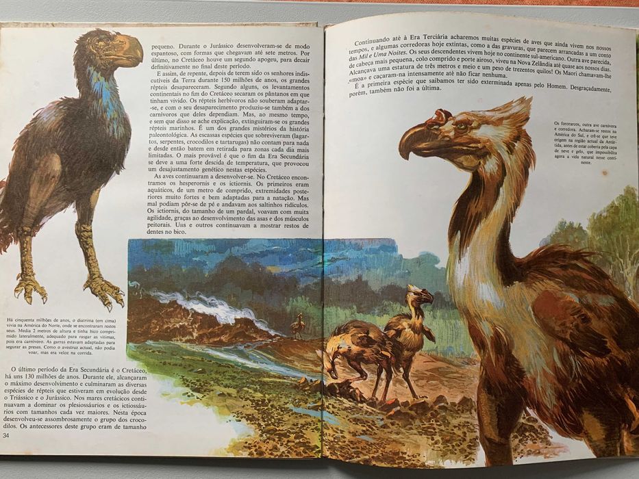 Os Animais Pré-Históricos