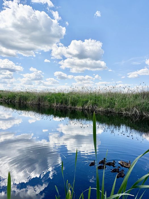 КМ Water village Продаж 1 поверхових будинків 330 м² з виходом на воду з басейном ділянки від 10 соток Романків Киівська область Новообухівська траса