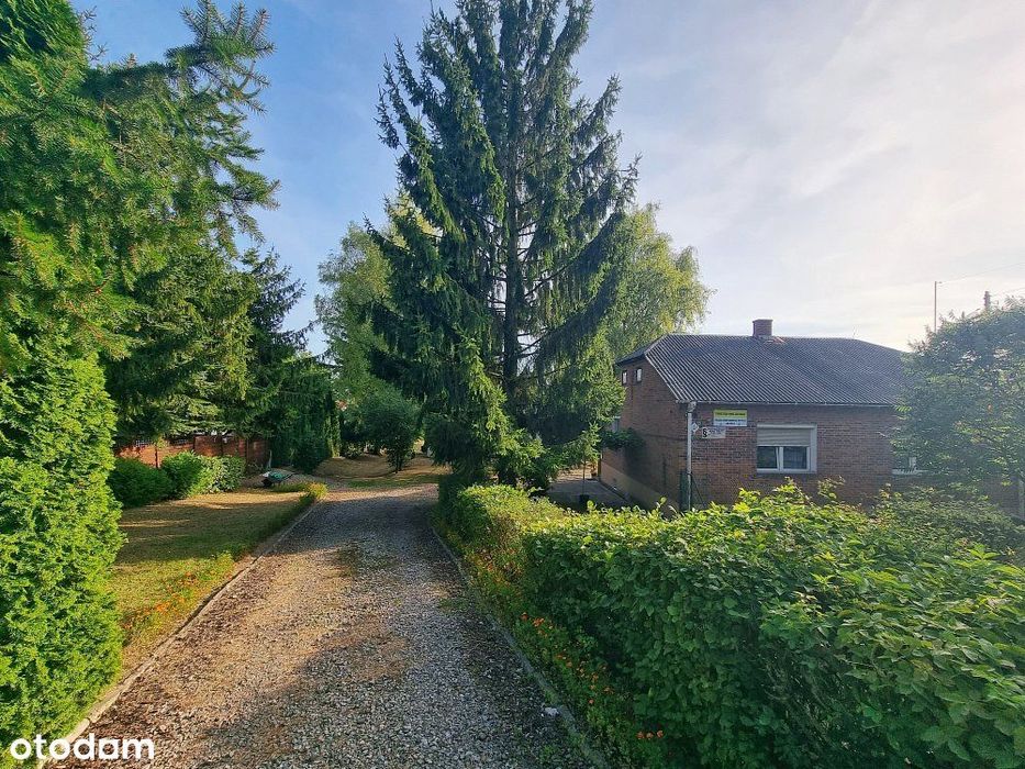 Dom 87 m2 | dz. 24 ar | z budynkiem 90m2  Rejowiec