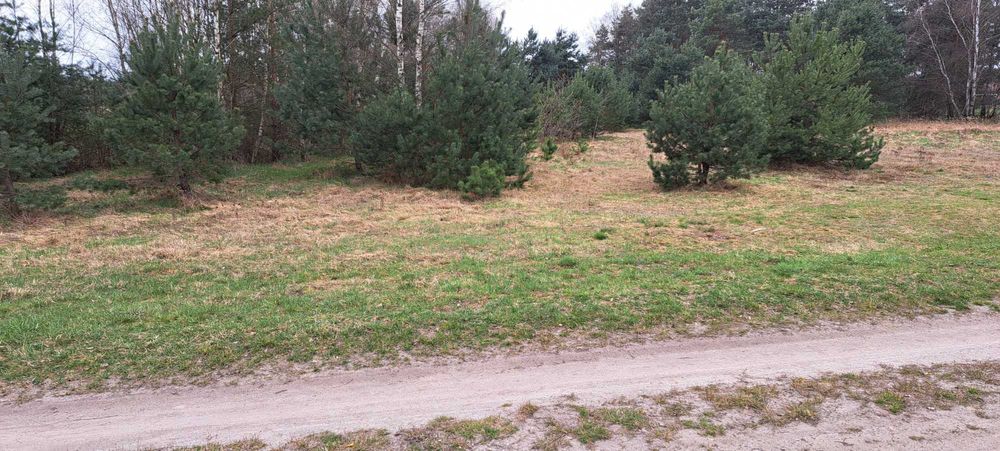 Działka z warunkami zabudowy w Siodle