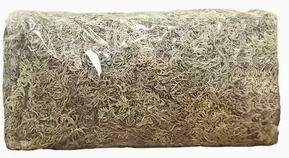 Sphagnum Moss / Musgo Esfagno