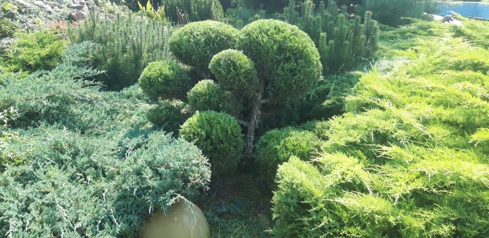 Дробілка гілок (подрібнювач) розпиловка Дерев,кущів