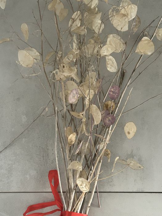 Bukiet duzy suszony