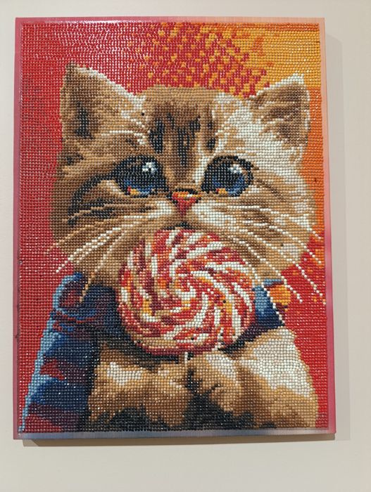 котик.   картина