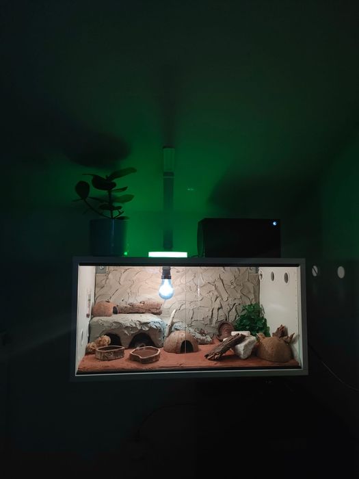 Profesjonalne podwieszane terrarium gekon lamparci