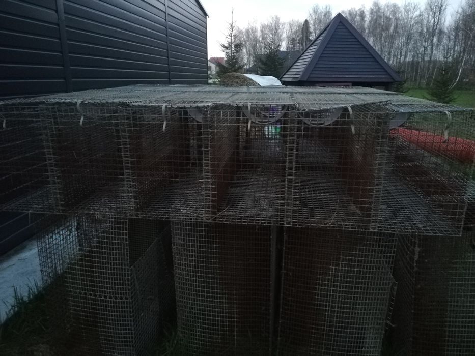 Klatki 6 i 20 komorowe na przepiorki i króliki