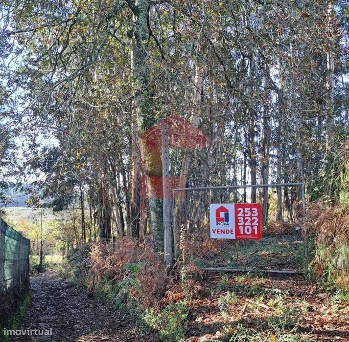 Terreno Agrícola, Gondiães