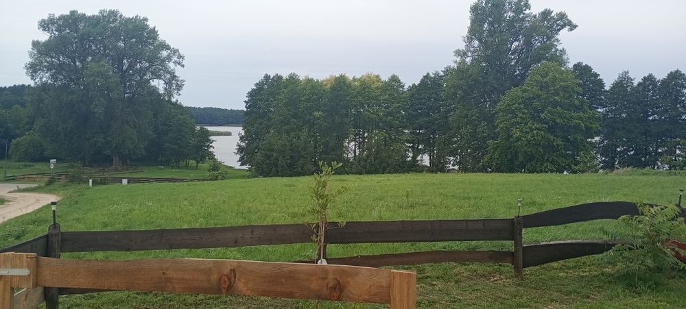 Domek Zacisze otulone słońcem