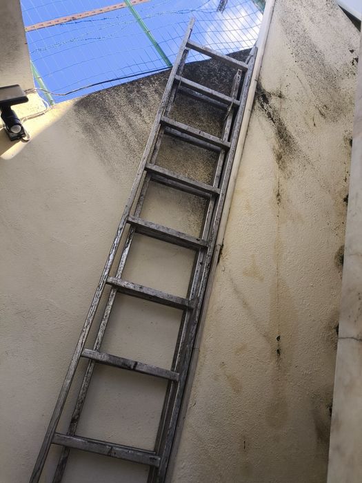 Escada profissionais 3,60 x2
