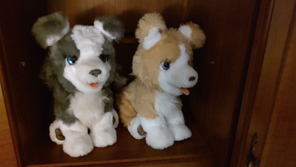 Hasbro Furreal Ricky lub Lexi cudowny piesek