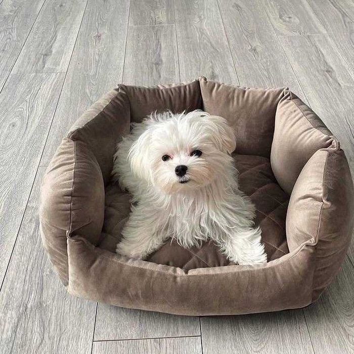 Лежак/спальне місце