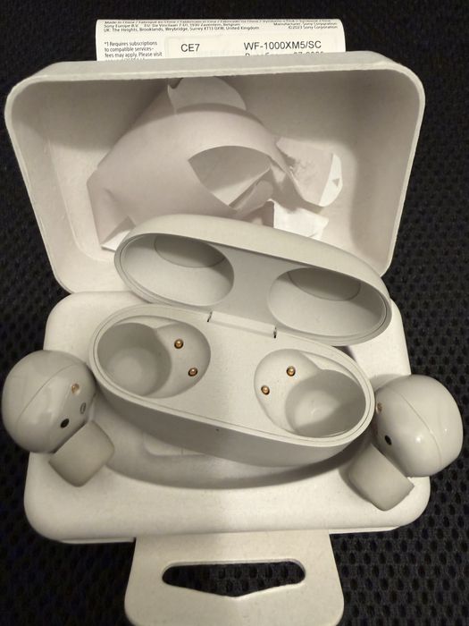 Sony WF-1000XM5 cor cinza