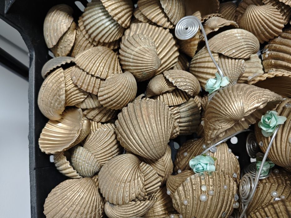 Conchas  Búzios Decoração ecoração