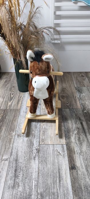Konik na biegunach
