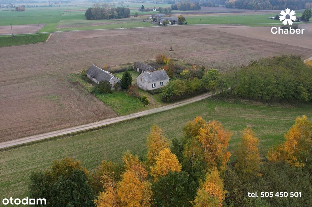 Siedlisko na Kujawach - działka 3007 m2