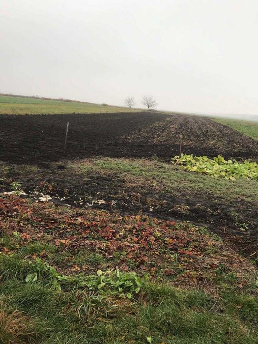 Продам дачу з великою ділянкою в селі Гірманка, Чернігівський район