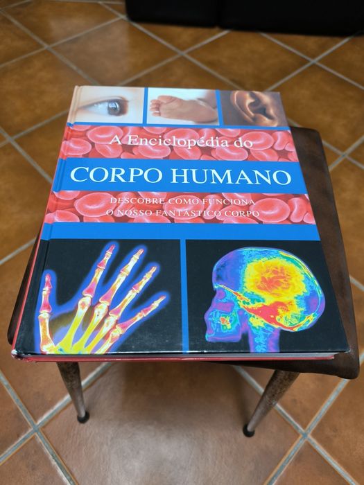 Conjunto de 7 Enciclopédias juvenis
