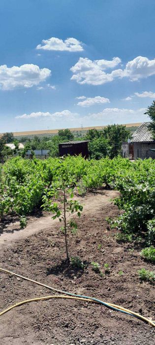 Уютный дом в пригороде!