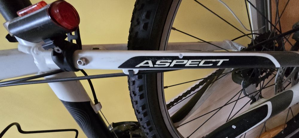Rower Scott Aspect