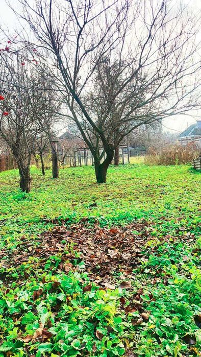 Терміновий продаж! Цегляний будинок в Дергачах