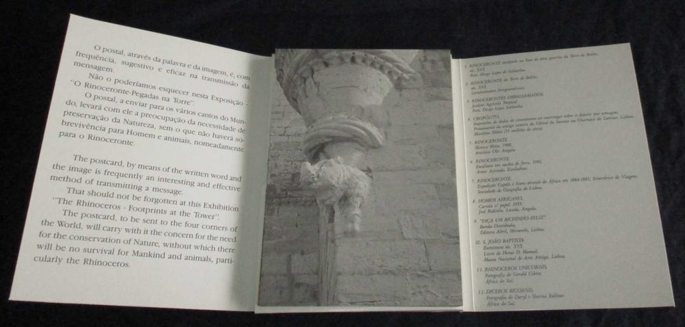 Postais O Rinoceronte Pegadas na Torre Bilhete Postal