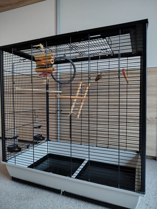 Klatka XXL dla ptaków