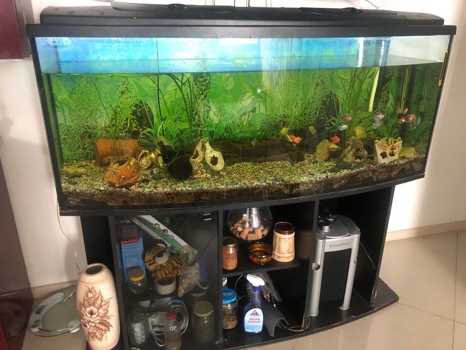 продам акваріум  з тумбою 450