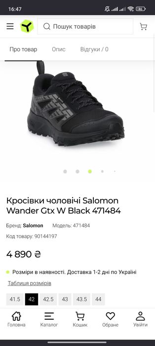 Кросівки Salomon XT Wander GTX