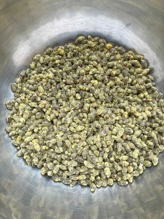 Kokony pszczółki murarki - 400 sztuk