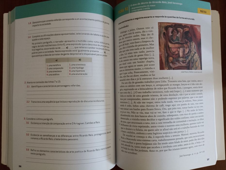 Livro preparação para exame de português 24