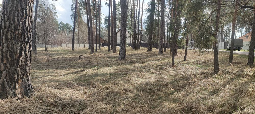 Продам супер ділянку в Пірнове 15.46сот