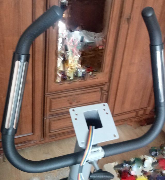 Rower stacjonarny Stamm