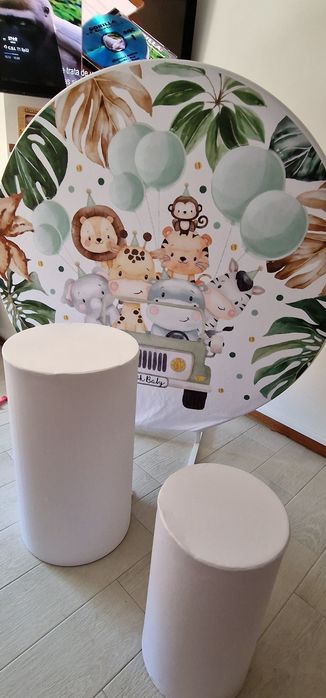 Decoração Safari para alugar