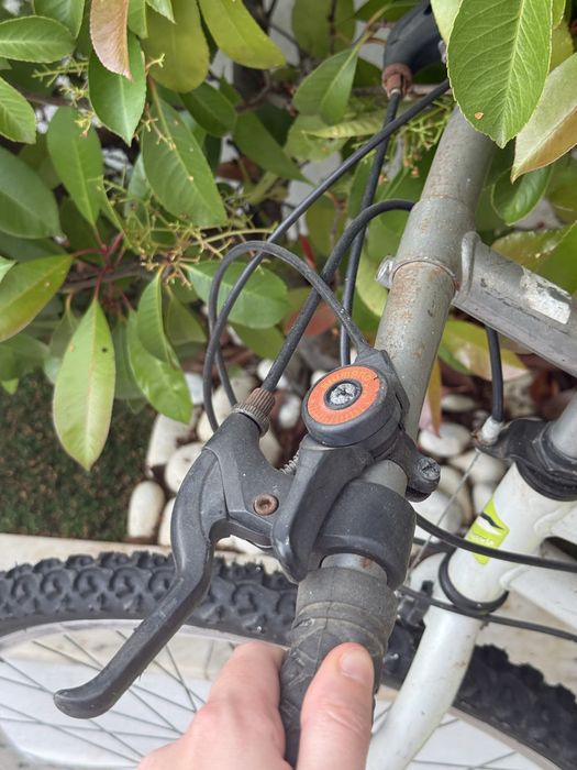 3 bicicletas por 20€!