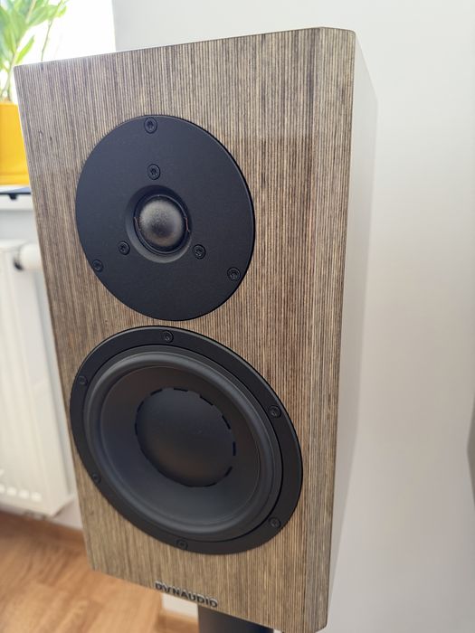 Kolumny Dynaudio Special 40
