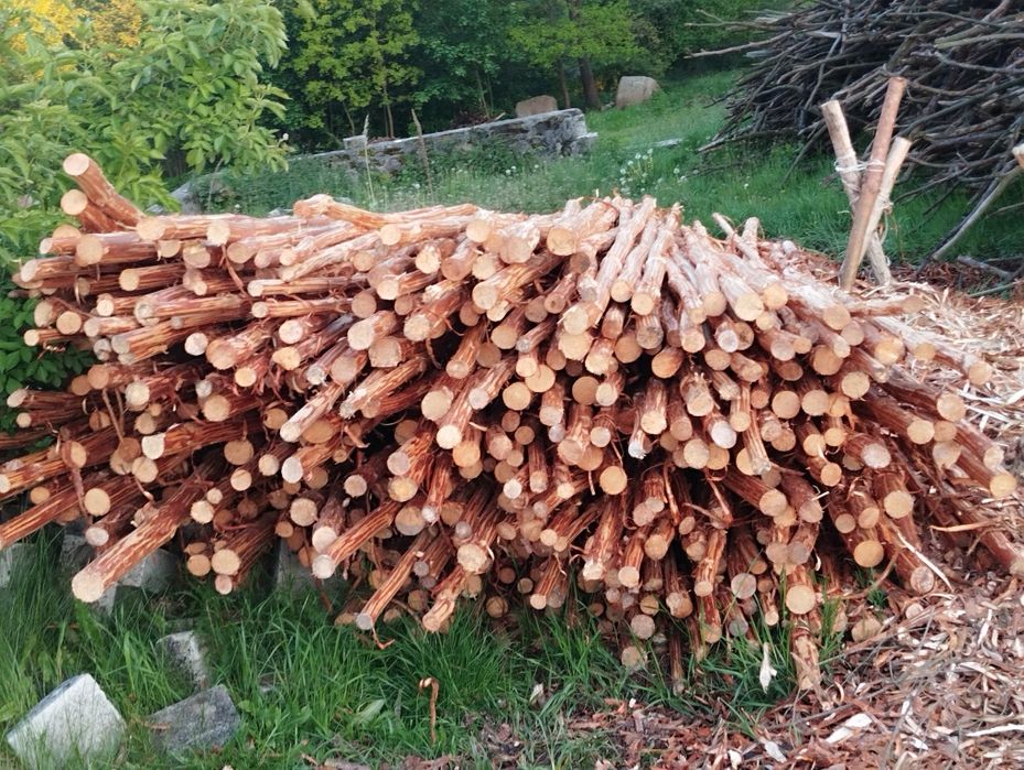 Paliki do drzewek owocowych i drewno do kominka