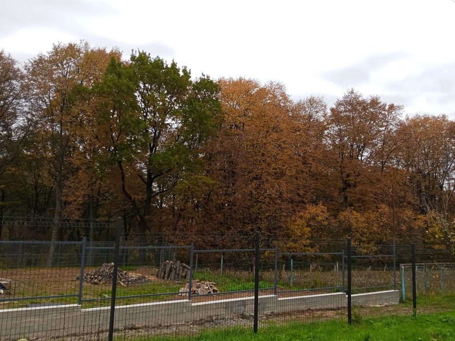 Продається дача в Дем'яновому Лазі