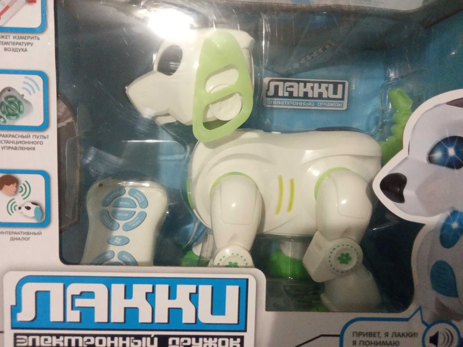 Продам собачку Лаки на р/у