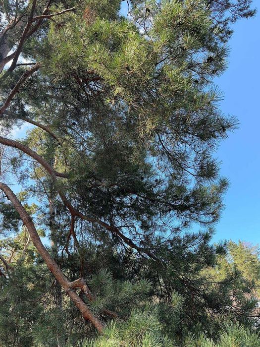 Без комісії! продаж будинка Lubo Village