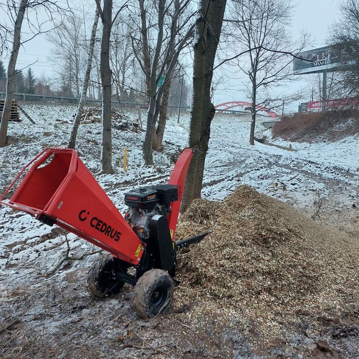 Profesjonalna wycinka drzew i porządkowanie terenu