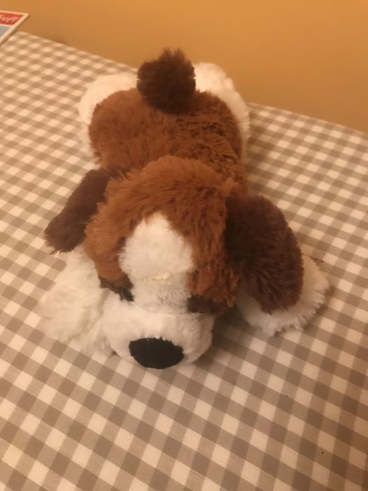 Pluszowy bernardyn z ZAKOPANEGO