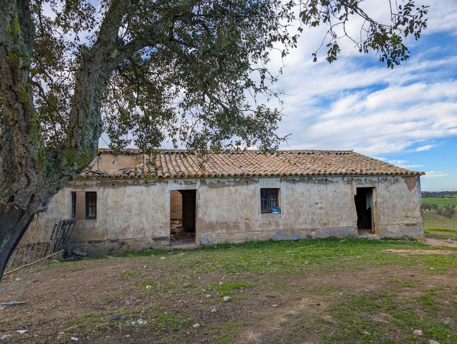 Propriedade única com a possibilidade de construção até 500 m²