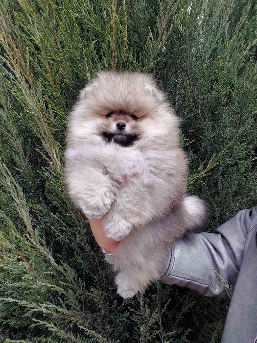 Неймовірно гарний хлопчик.