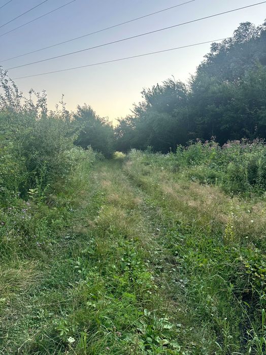 Продаж ділянки під лісом (район ресторану "Камелот")