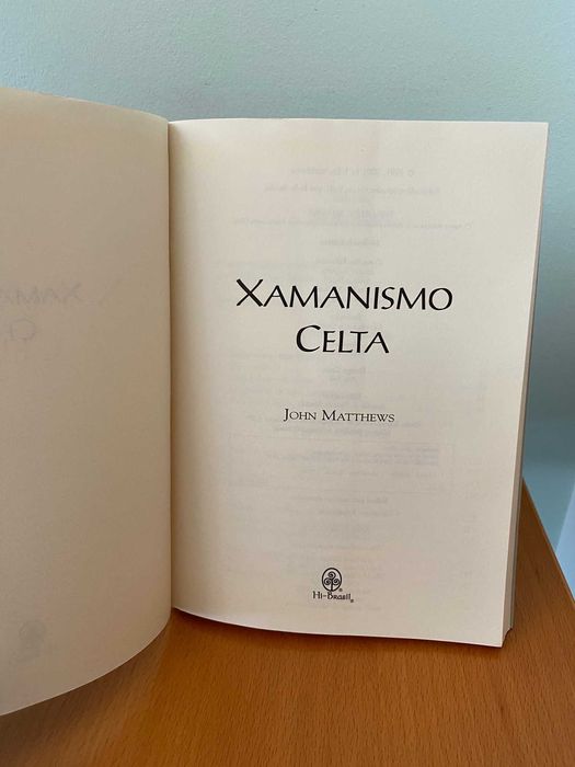 Celtic Shamanism - John Matthews64750579216769122