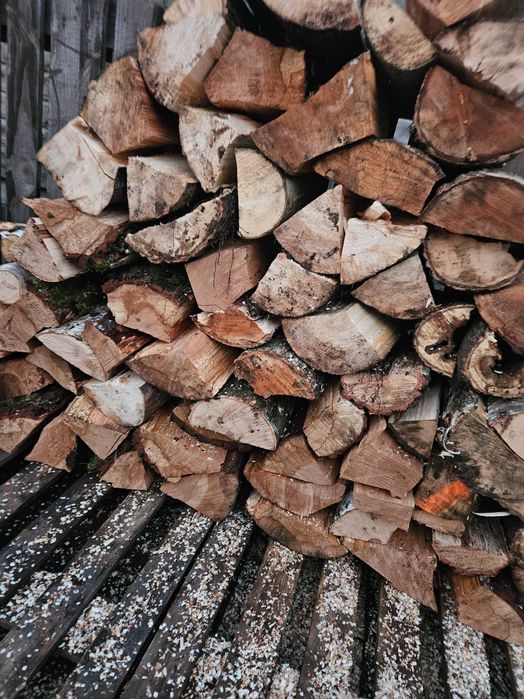 Drewno kominkowe opałowe